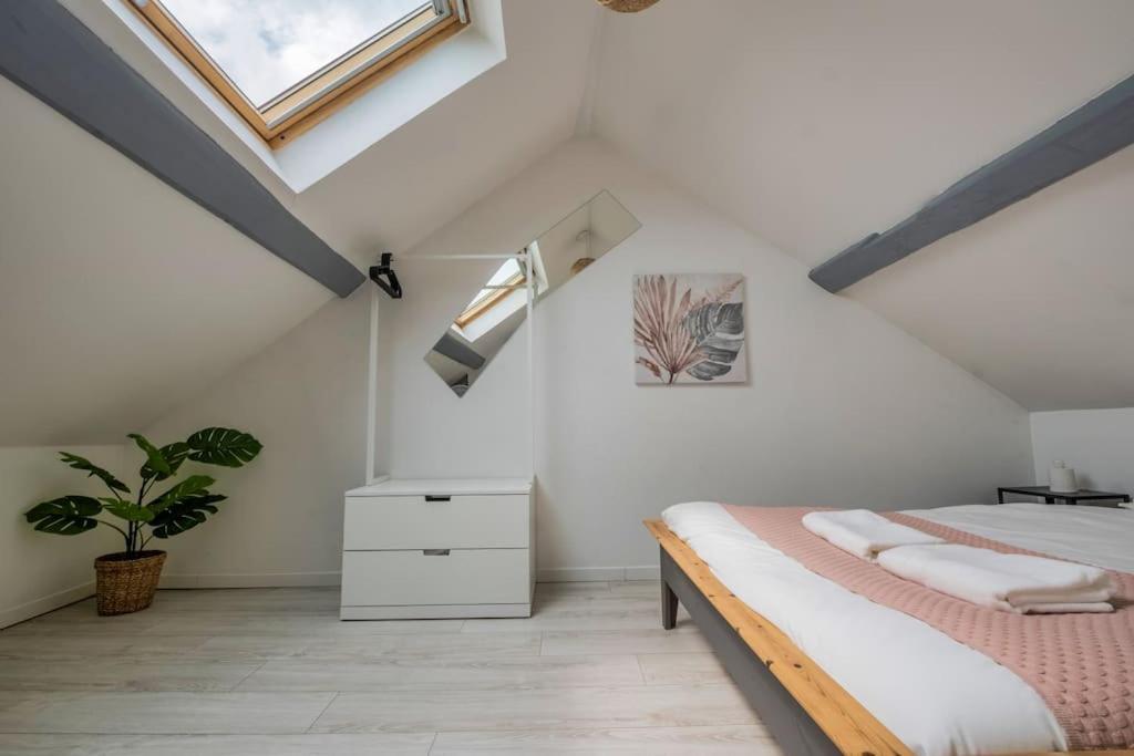 Volcano Apartment